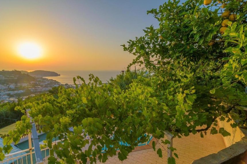 Tramonto dorato sul mare d'Ischia tra vigne e alberi di limone