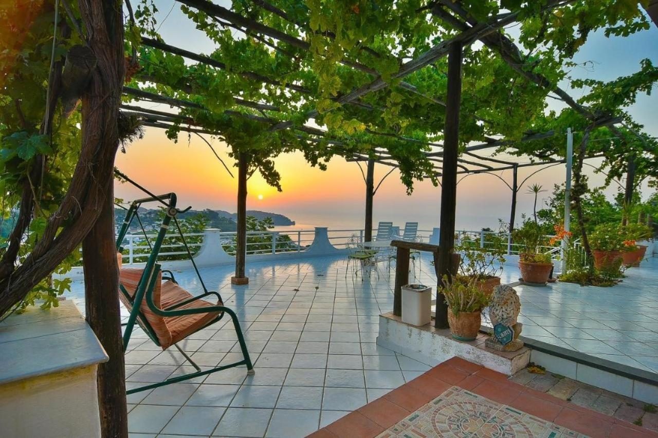 Terrazza panoramica del B&B con pergolato di vite al tramonto sul mare d'Ischia